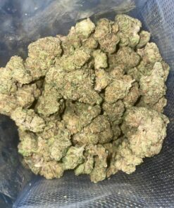 Jelly Biscuit
