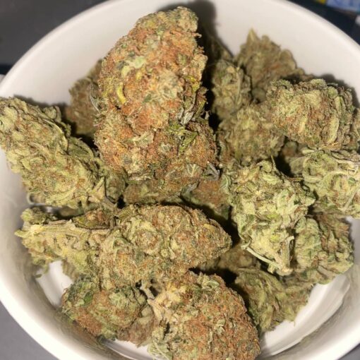 Orange Bud