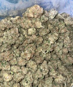 Rozay Strain